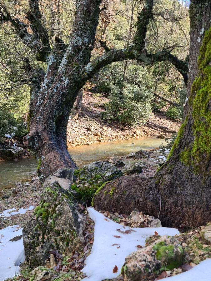 איפראן La Pommeraie D'Ifrane מראה חיצוני תמונה