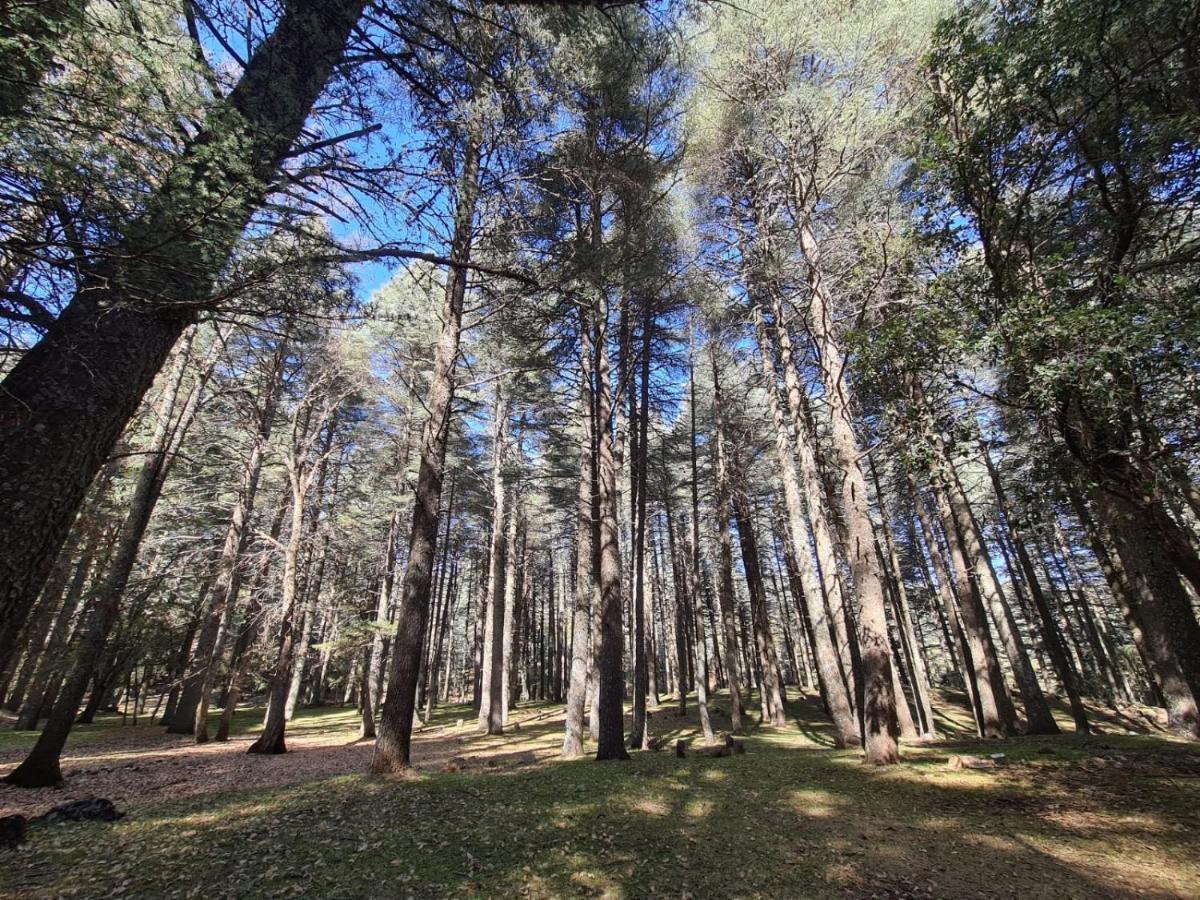 איפראן La Pommeraie D'Ifrane מראה חיצוני תמונה