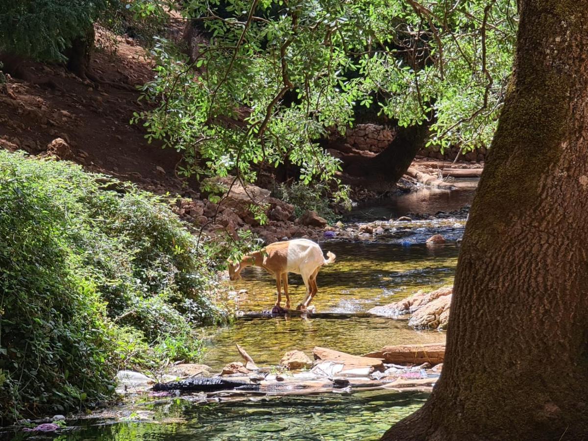 איפראן La Pommeraie D'Ifrane מראה חיצוני תמונה